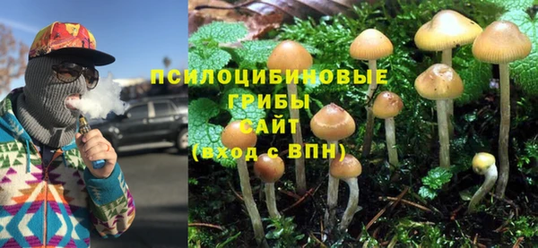 СК Пестово