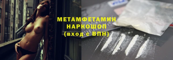 шишки Пересвет