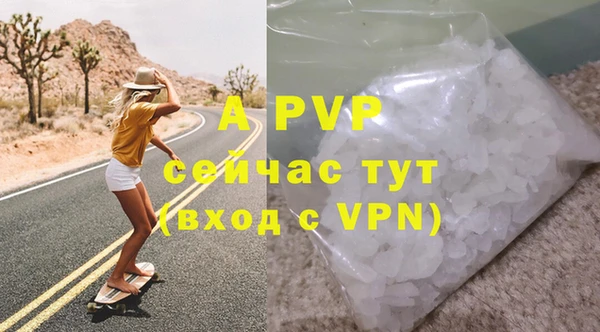 шишки Пересвет