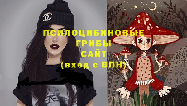 шишки Пересвет