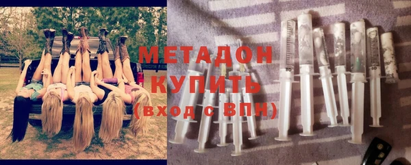 шишки Пересвет