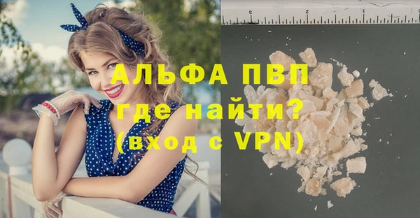 шишки Пересвет