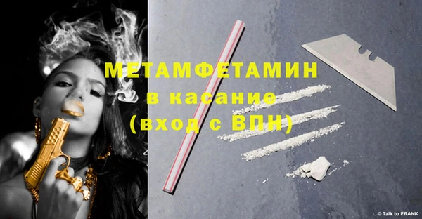 шишки Пересвет